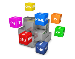 web design development