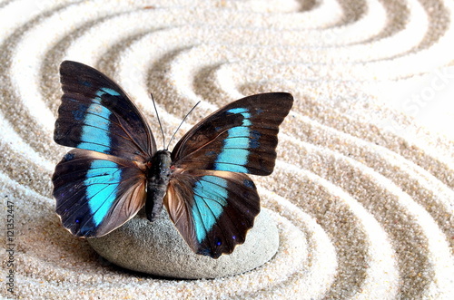 Foto-Fußmatte - Butterfly (von Belight)