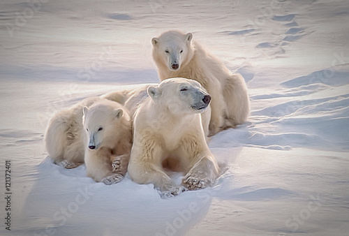 Cuadros en Lienzo Polar bear with her cubs, oil painting