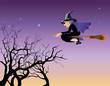 Halloween witch flying in a night sky