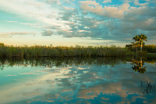 Sunset At The Everglades National Park
