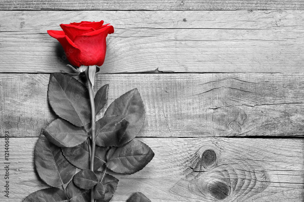 Red rose on black and white wood - obrazy, fototapety, plakaty 