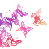 Fototapeta Motyle - Amazing background with butterflies and flowers painted with wat
