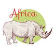 African animal rhinoceros.