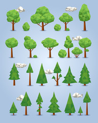 Collection of polygonal trees