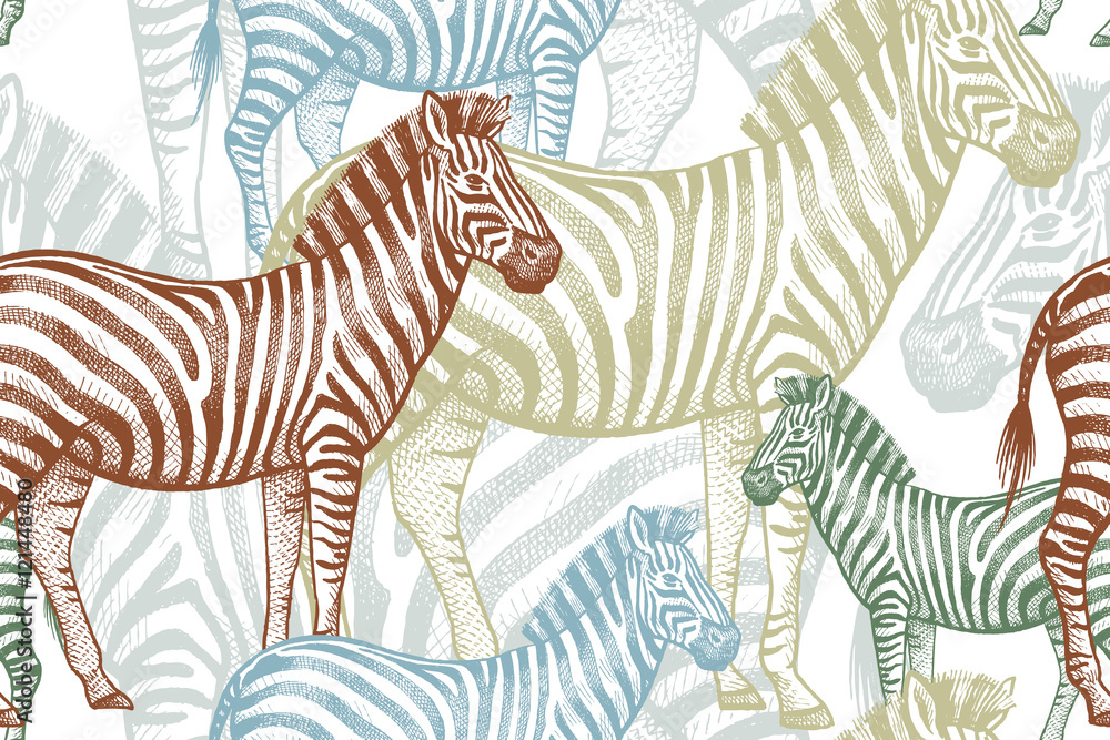 Papel de parede Seamless pattern with African animals zebra.