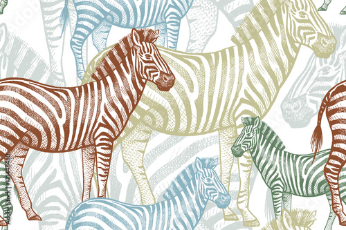Cuadros en Lienzo Seamless pattern with African animals zebra.
