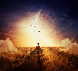 boy walking on a pathway with a relax mood, following a group of birds on the space horizon. way of 