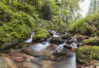 Wall Mural - The stream in Oppenau Germany