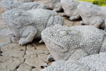 Limestone Statues Of Frogs. Stone Walkway. Frogs On Alley In Beautiful Garden With Flowers And Trees Around. Summer In The Garden