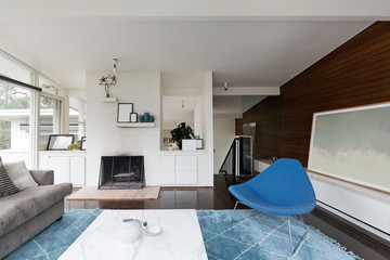 Modern mid century renovated living room with fireplace and side chair