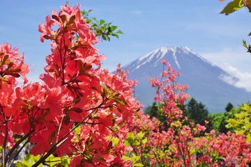 The Mount Fuji in Japan