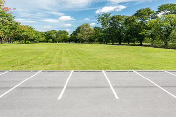 Wall Mural - Empty parking lot against green lawn in city park