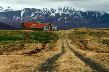 Icelandic farm