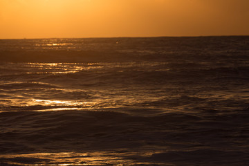 golden dark sea, sunshine in the summer morning day