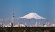 Tokyo city view and mountain fuji in winter ..