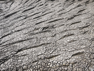 Poster - dry crack ground texture