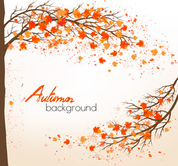 Poster - Autumn background with a tree and colorful leaves. Vector.