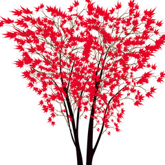 Wall Mural - Card with autumn maple tree. Red maple trees in the middle. Japanese red maple.