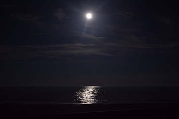 Ocean Beneath the Moonlit Sky