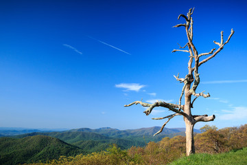 Wall Mural - Little Devils Stair Overlook