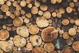 Fototapeta Sypialnia -  firewood wood texture