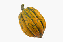 Isolated Small Acorn Squash On White