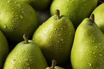 Wall Mural - Raw Green Organic Danjou Pears
