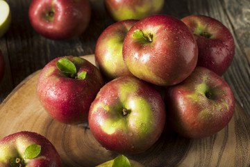 Canvas Print - Raw Organic Red Mcintosh Apples