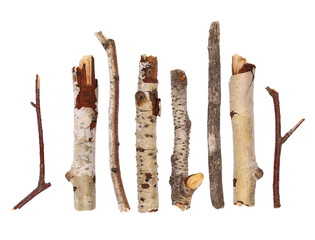 twigs, set macro dry branches birch isolated on white background, with clipping path