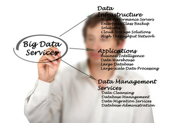 Poster - Big Data Services