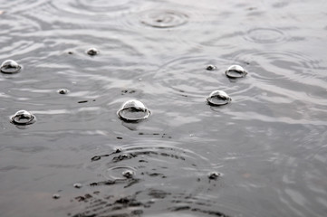 rainy day. bubbles on the water surface. photo toned