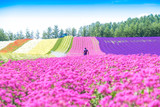 Fototapeta Miasto - Colorful flower garden and the gardener with blurred in the foreground flowers