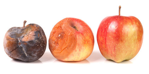 two rotten and one good apple isolated on white background