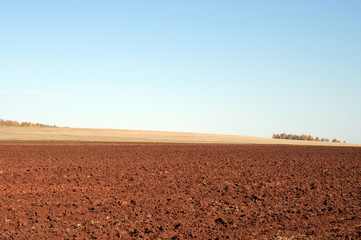 Ploughed field. Photo toned