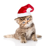Fototapeta Koty - baby  tabby kitten in red christmas hat. isolated on white 