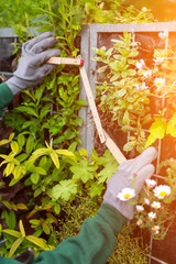 Young attractive landscaper woman working in a public park