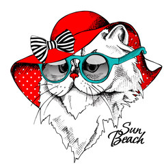 Wall Mural - Portrait of Himalayan cat in a red Summer Sun Hat with glasses. Vector illustration.