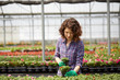 © Stocked House Studio - happy female nursery worker trimming plants in greenhouse
