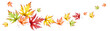 Autumn maple leaves. Horizontal panoramic image. Watercolor