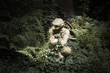 Garden Statue Ornament, Gremlin, Gargoyle, Pixie