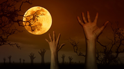 Wall Mural - Halloween concept background in dark style