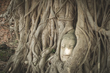 Ancient Buddha Statue In Tree Roots At Mahatat Temple, Ayuttaya,