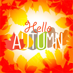 Poster - Hello autumn logo. Color leaves season vector concept