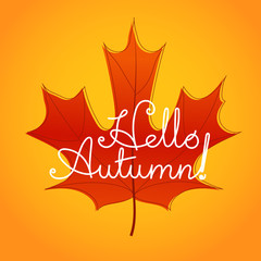 Poster - Hello autumn logo. Color maple leaf vector illustration