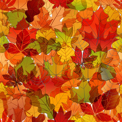 Poster - Different color autumn leaves vector seamless pattern