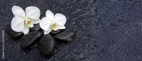 Plakat Pojedyncza biała orchidea i czarni kamienie zamykamy up.