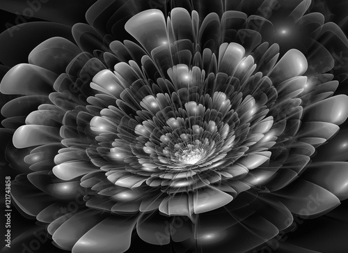 Naklejka dekoracyjna Abstract black and white flower with sparkles