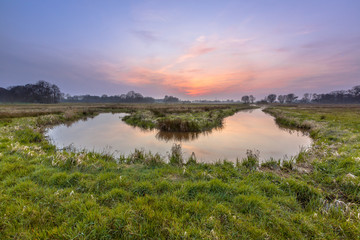 Sticker - Meandering Regge sunset