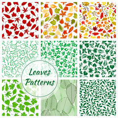 Wall Mural - Color leaves seamless patterns set